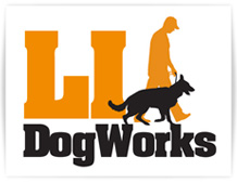 Website Design - Logo Design for Dog Trainers Long Island New York